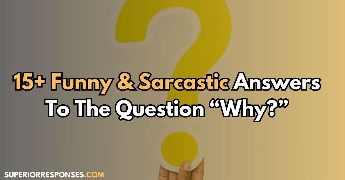15+ Funny & Sarcastic Answers To The Question “Why?”