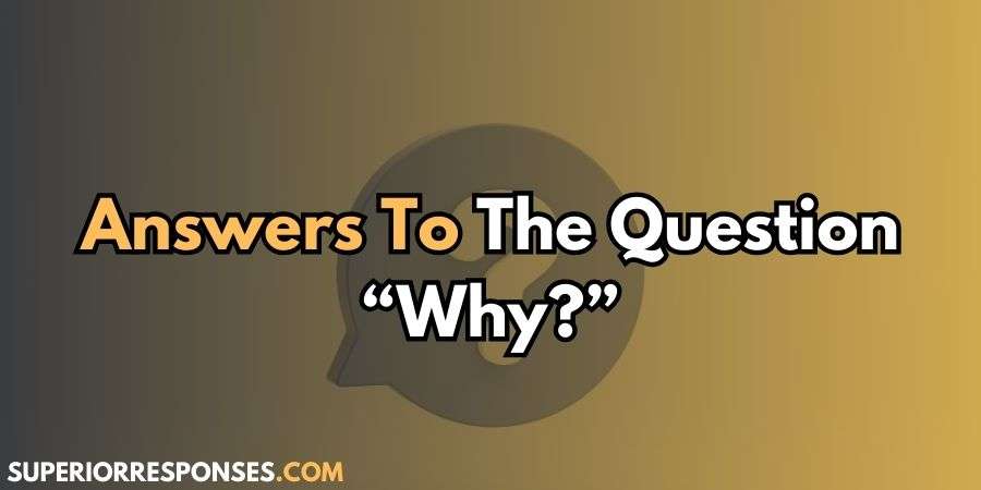 15+ Funny & Sarcastic Answers To The Question “Why?”