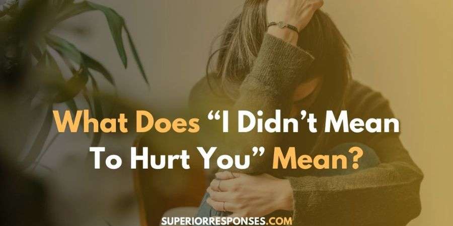 Clever & Sarcastic Replies To “I Didn't Mean To Hurt You”