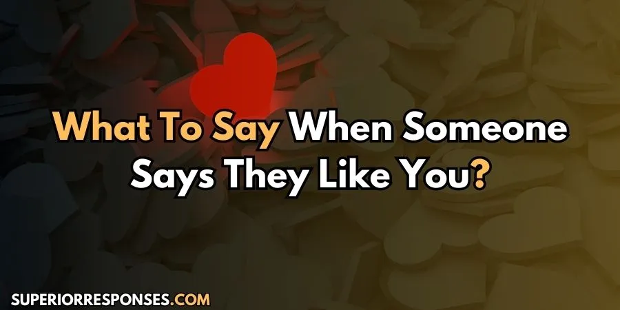 21 Insanely Funny & Flirty “I Like You” Text Replies Ever